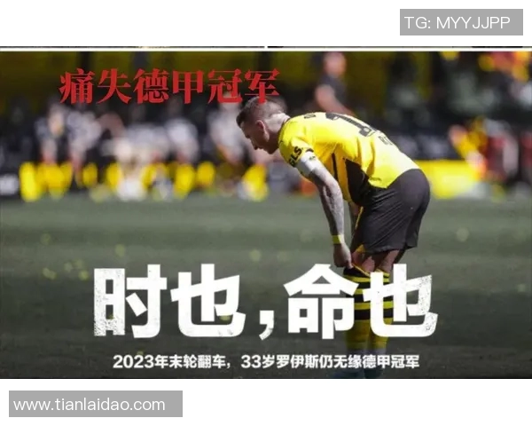 施密特谈多特蒙德：仍有进步空间待挖掘